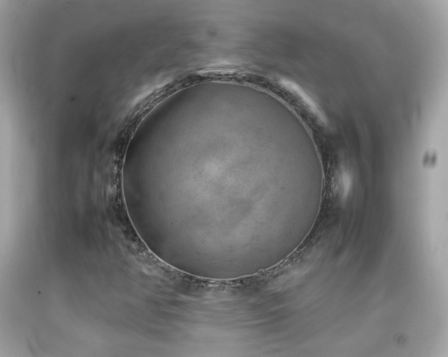 X0000092071350200709121407
