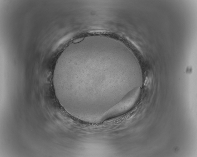 X0000092071351200709121407