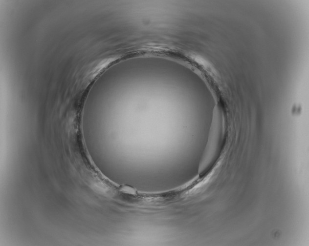 X0000092071353200709121407