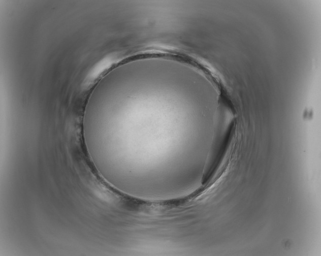 X0000092071355200709121407