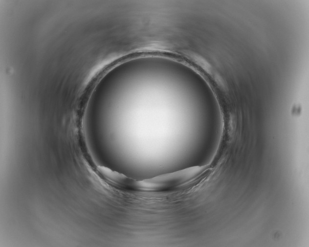 X0000092071356200709121407