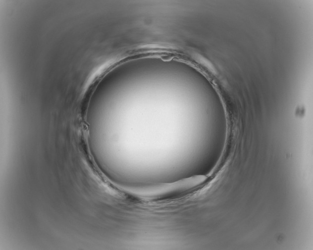 X0000092071357200709121407