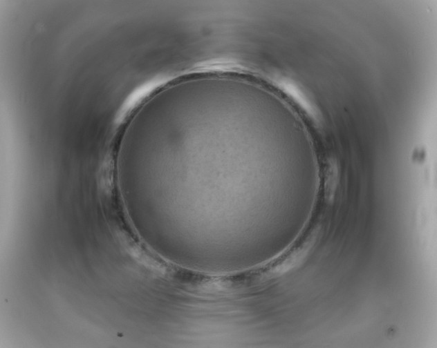 X0000092071358200709121407