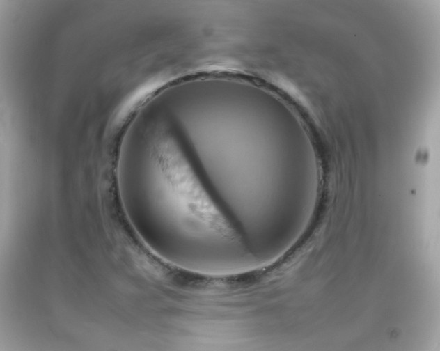 X0000092071359200709121407