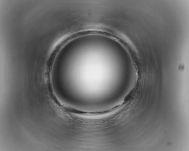 X0000092071360200709121407