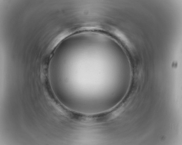 X0000092071361200709121407