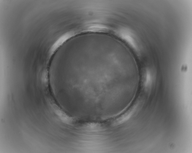 X0000092071362200709121407