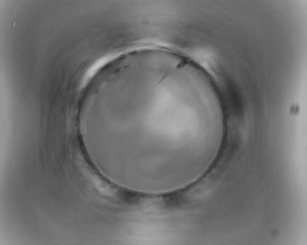 X0000092071363200709121407