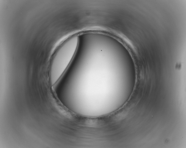 X0000092071364200709121407