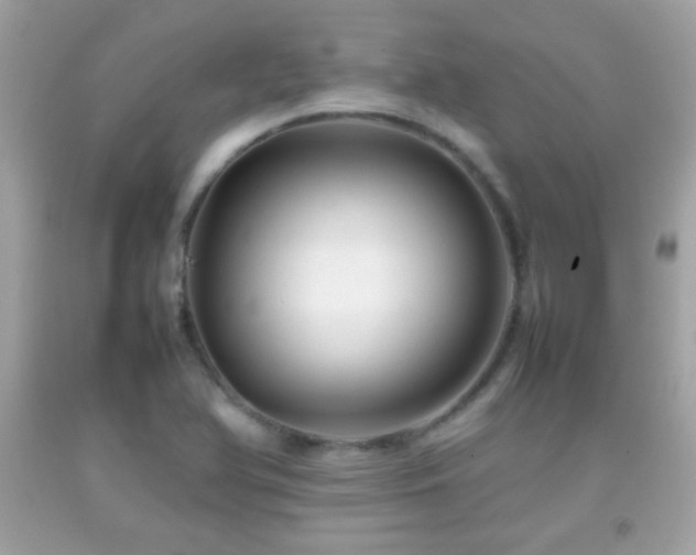 X0000092071366200709121407