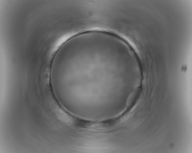X0000092071367200709121407