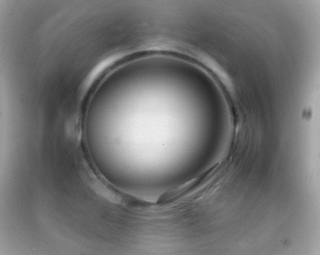 X0000092071368200709121407