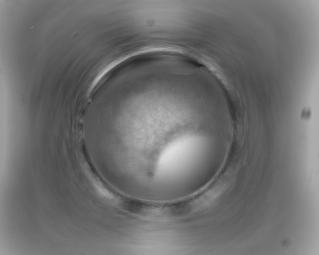 X0000092071369200709121407