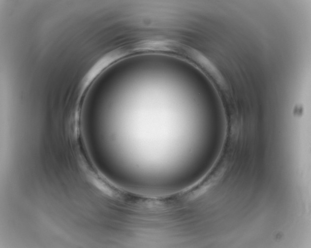 X0000092071370200709121407