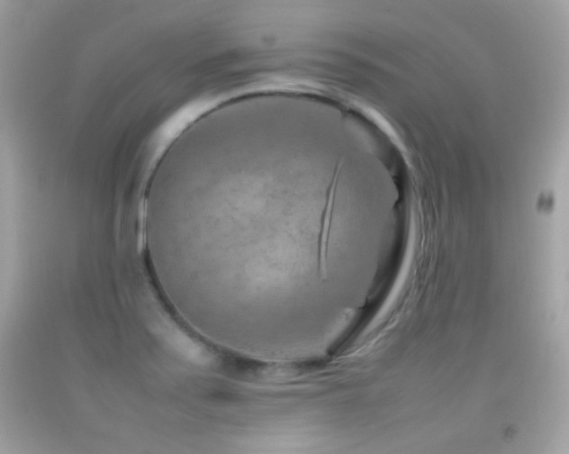 X0000092071371200709121407