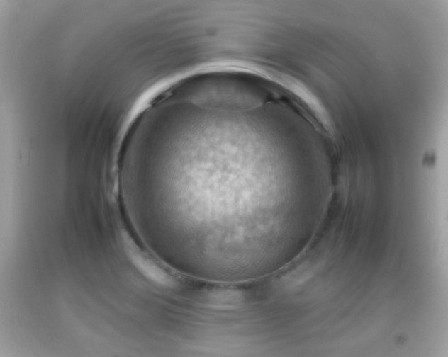 X0000092071372200709121407