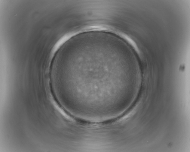 X0000092071373200709121407