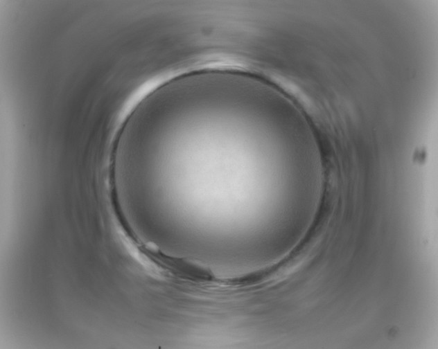 X0000092071375200709121407