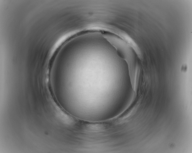 X0000092071376200709121407
