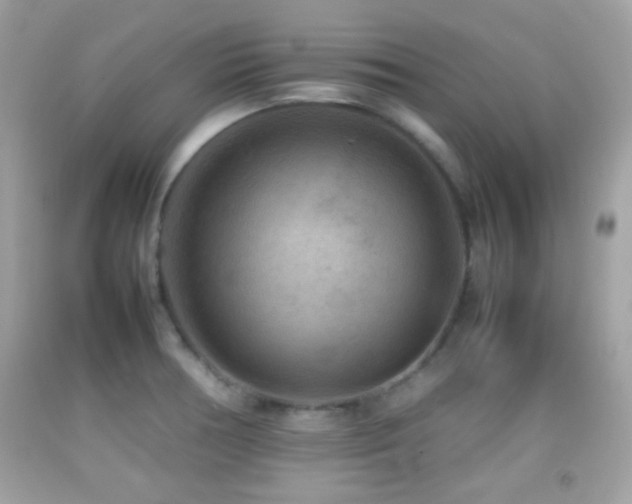 X0000092071378200709121407