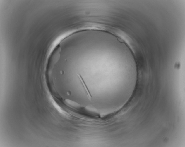 X0000092071379200709121407