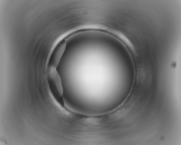 X0000092071380200709121407