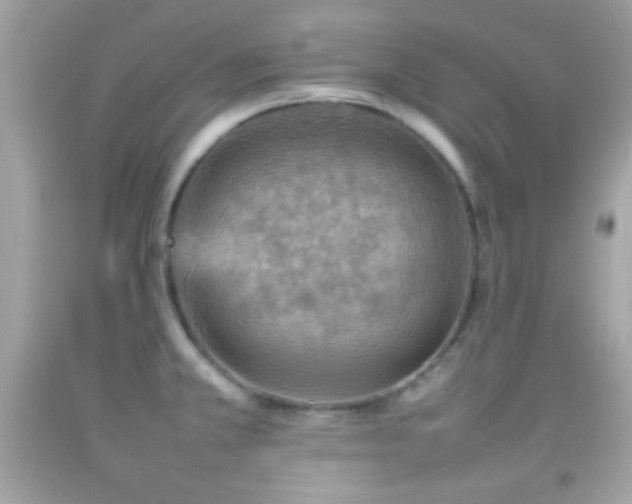 X0000092071381200709121407