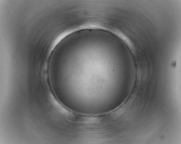 X0000092071382200709121407