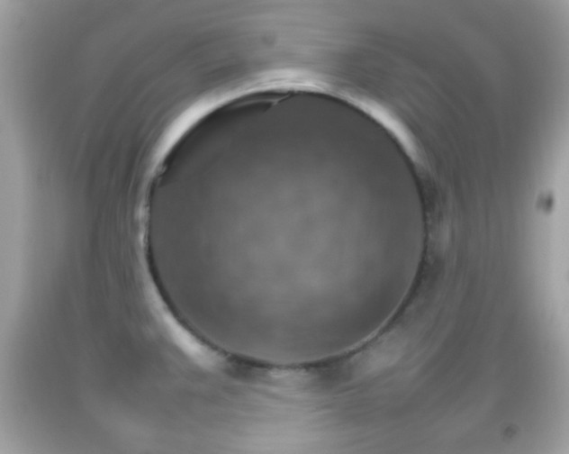 X0000092071383200709121407