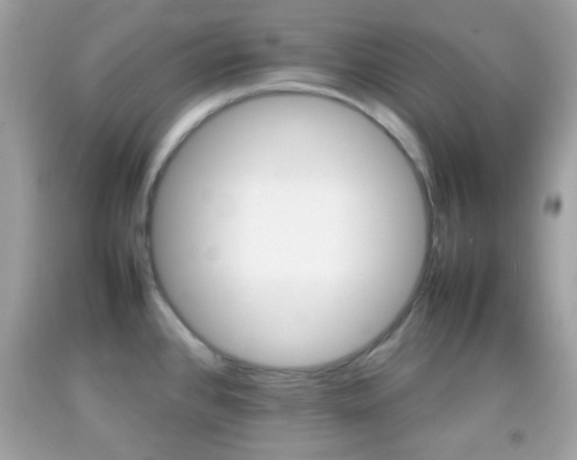 X0000092071384200709121407