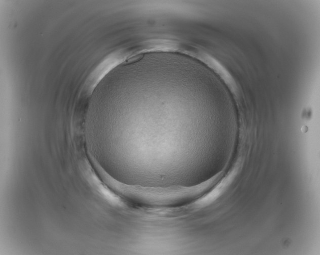 X0000092071385200709121407