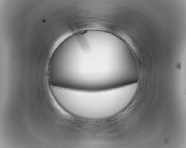 X0000092071387200709121407