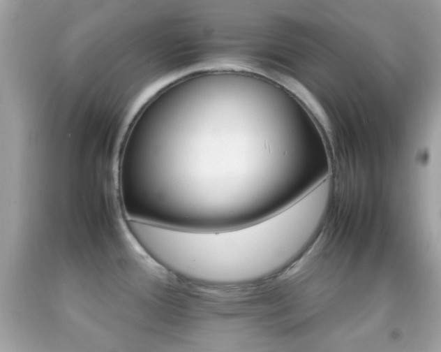 X0000092071388200709121407
