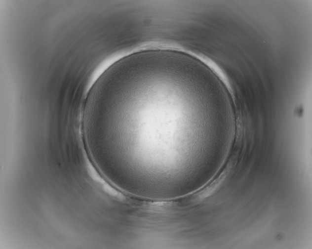 X0000092071390200709121407