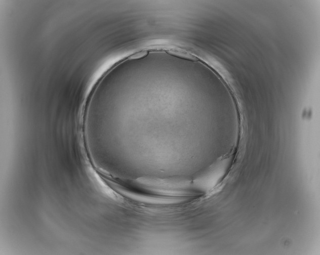 X0000092071392200709121407