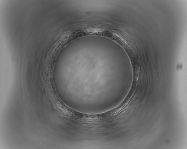 X0000092071393200709121406
