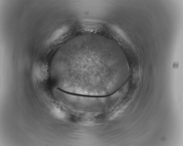 X0000092071394200709121406