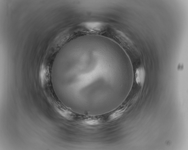 X0000092071395200709121406