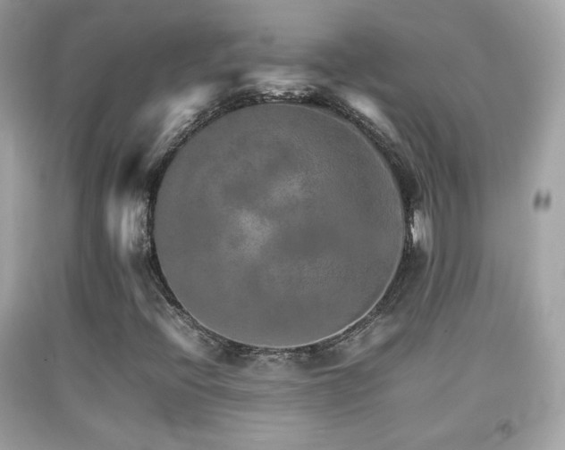 X0000092071396200709121406