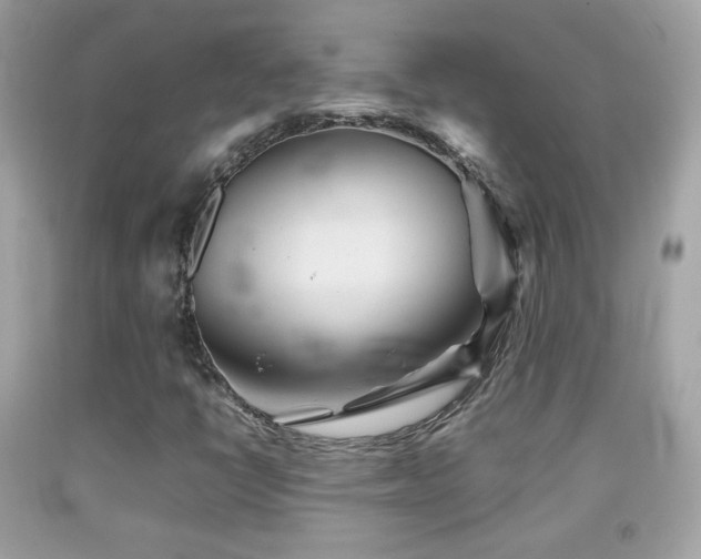 X0000092071398200709121406