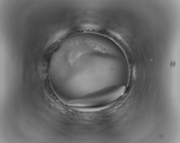 X0000092071399200709121406