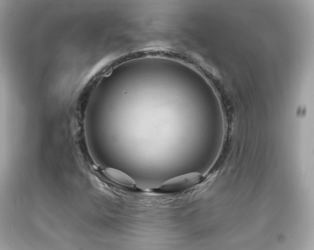 X0000092071400200709121406