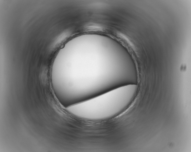 X0000092071403200709121406