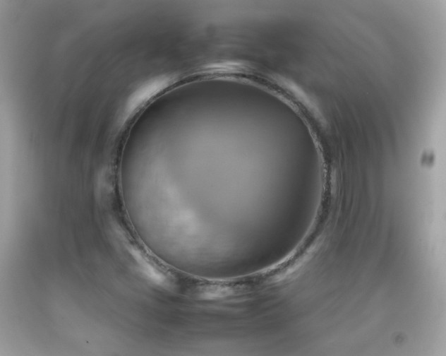 X0000092071405200709121406