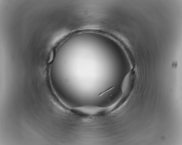 X0000092071406200709121406
