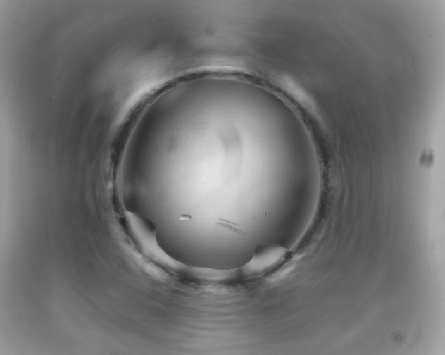 X0000092071408200709121406