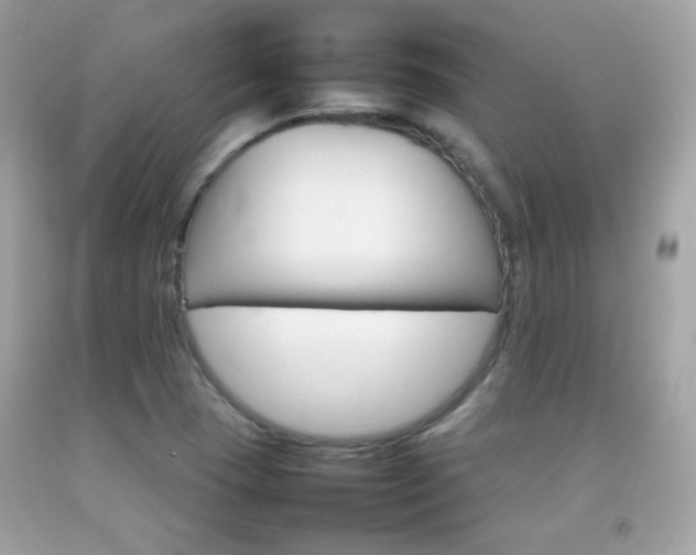 X0000092071409200709121406