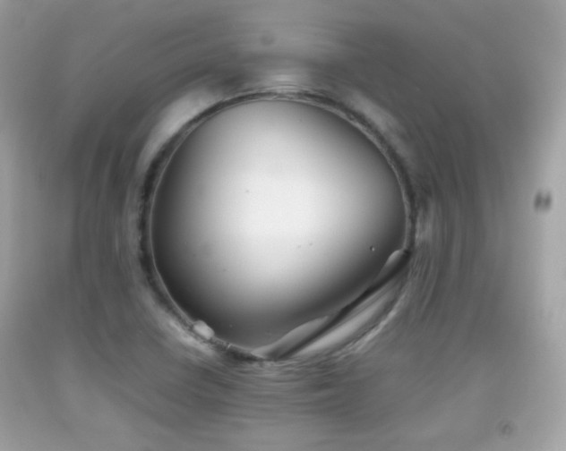 X0000092071410200709121406
