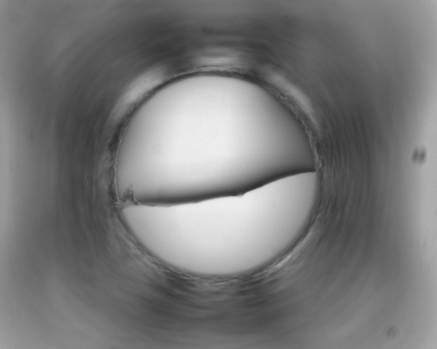 X0000092071411200709121407