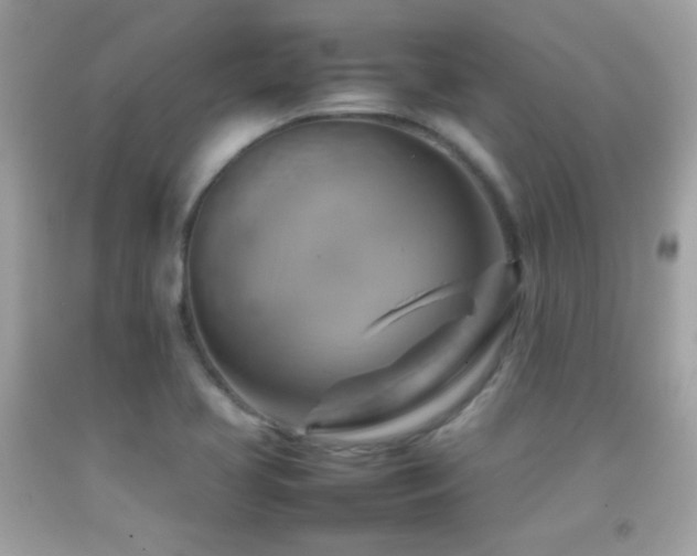 X0000092071413200709121407